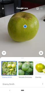 Google Lens