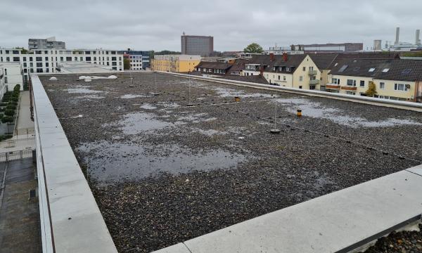 Dach