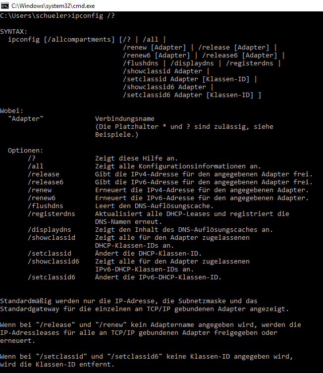 Konsolenausgabe bei Eingabe von "ipconfig /?"